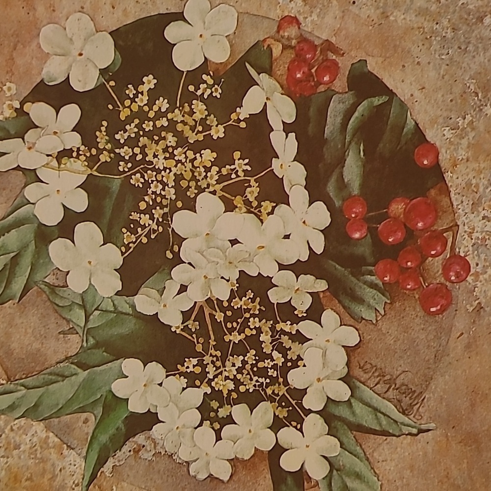 VIVIAN THIERFELDER VINTAGE FLORAL ART PRINTS, Unframed - Picture 5 of 16